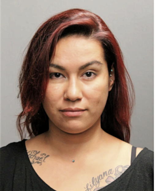 VANESSA C CARDENAS, Cook County, Illinois