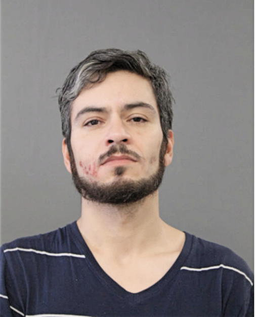 OMAR A CHAVEZ, Cook County, Illinois