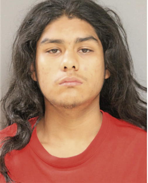 SAUL I GAVIA, Cook County, Illinois
