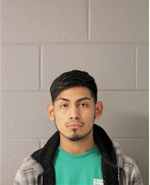 VICTOR M GUZMAN, Cook County, Illinois
