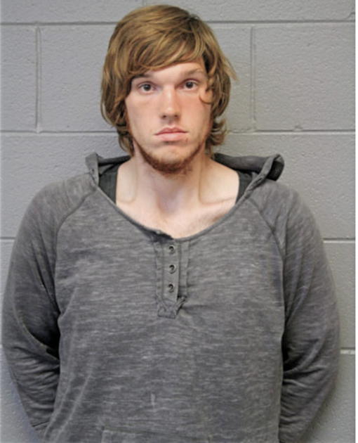 DANIEL E HANKINS, Cook County, Illinois