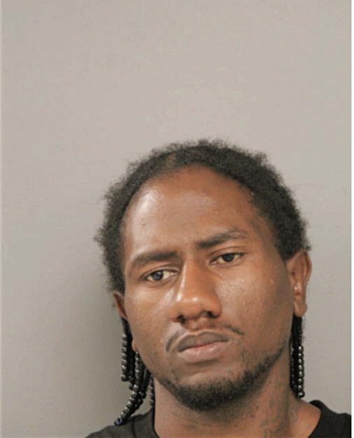 LARRY J JAMES, Cook County, Illinois