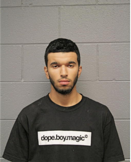 MOHAMED L MERABET, Cook County, Illinois