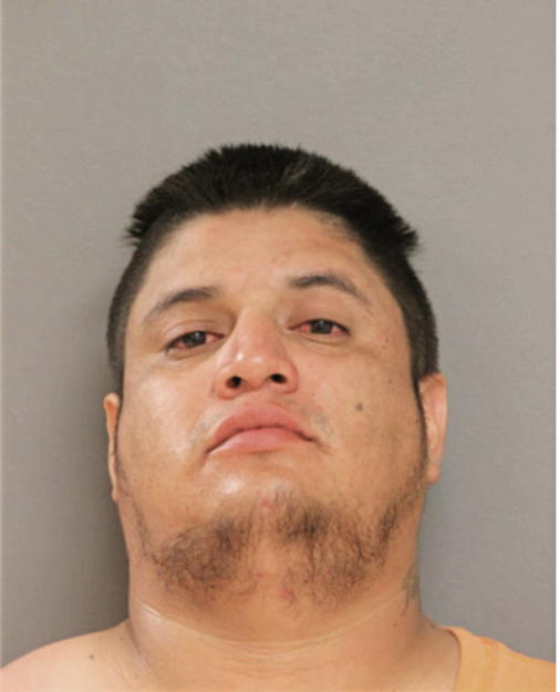 LEONARDO RESENDIZ, Cook County, Illinois