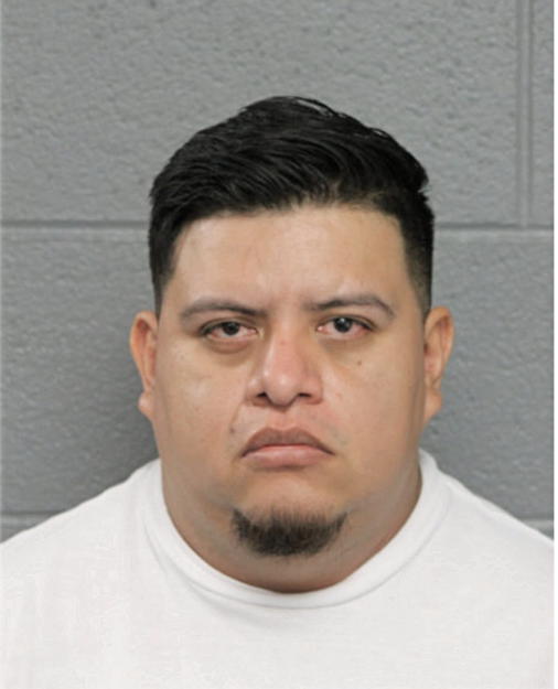 LUIS A ROJAS-BUSTOS, Cook County, Illinois