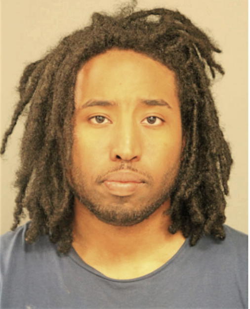 BRYAN J SHEPARD, Cook County, Illinois