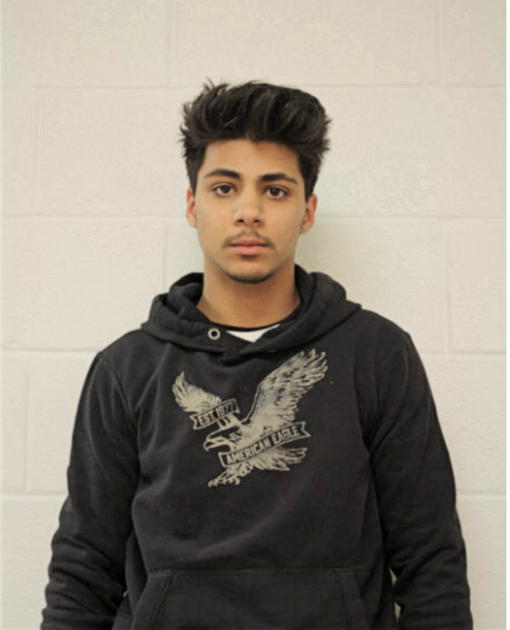 TROY M STANLEY, Cook County, Illinois