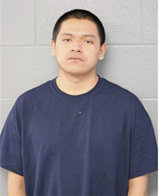 BERNADINO VILLAMIL, Cook County, Illinois