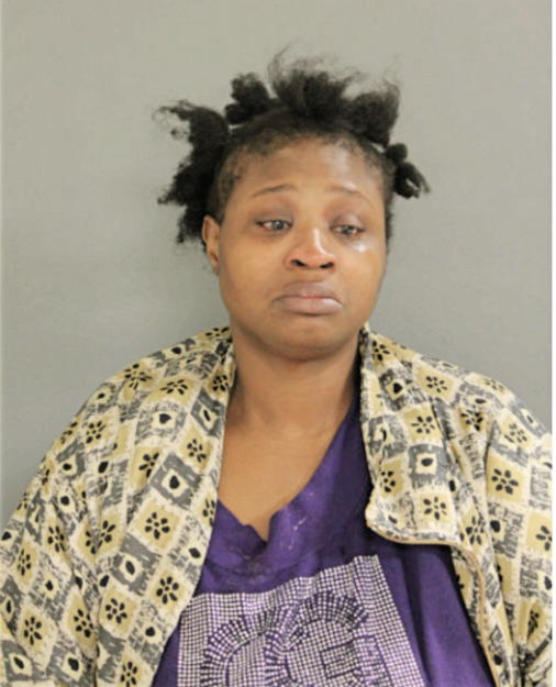 MICHELLE N WILLIAMS, Cook County, Illinois