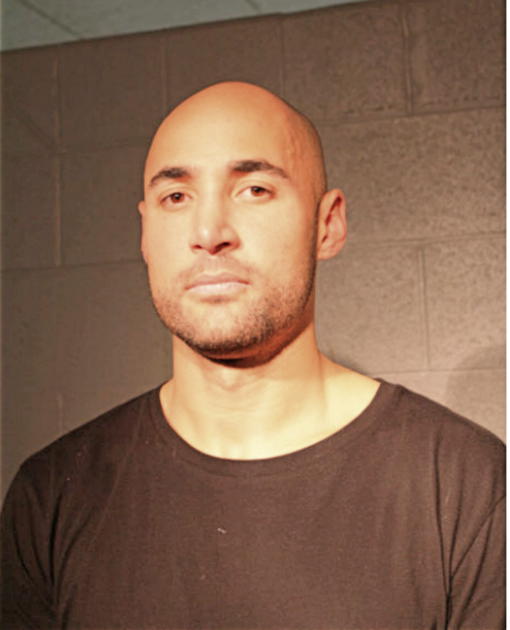 MICHAEL WOODS, Cook County, Illinois