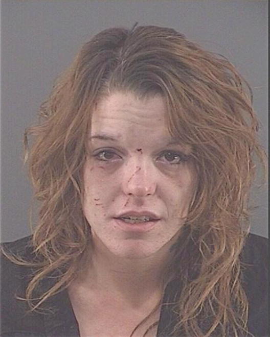 GULLETTE, ANDREA NICHOLE - Peoria County, IL