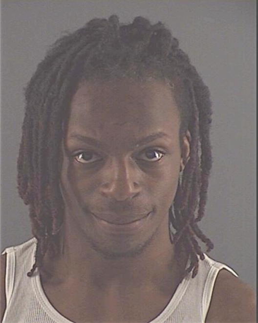 NELSON, AMORTA - Peoria County, IL