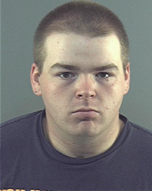 STUTLER, DEREK L - Peoria County, IL