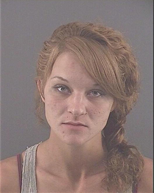 ROBINSON, DANIELLE N - Peoria County, IL