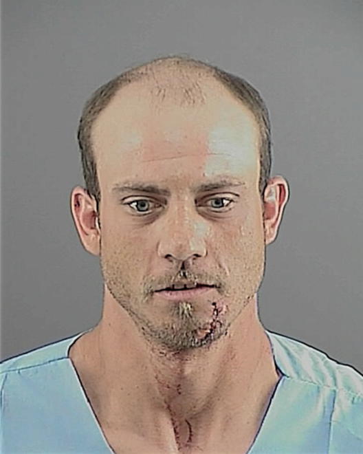 FORCE, RODNEY - Peoria County, IL