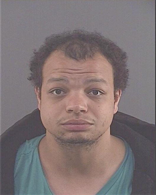 MATA, MICHAEL ANTHONY - Peoria County, IL