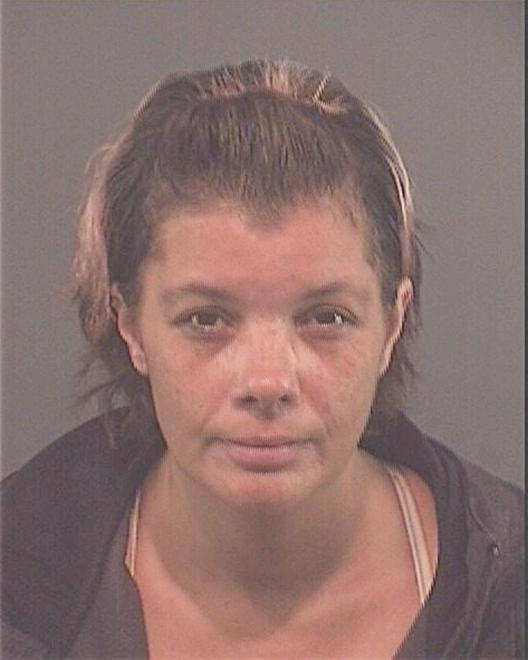 CHENEY, KELLEY SUSANN - Peoria County, IL