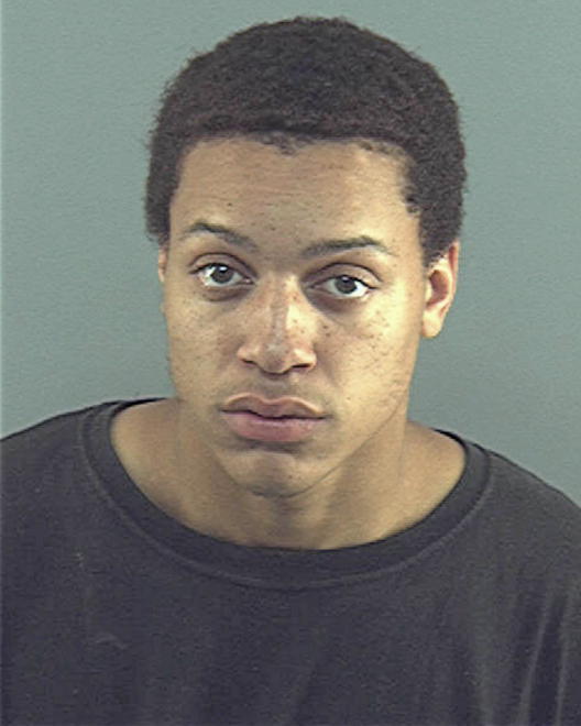 BURNSIDE, TERRANCE D - Peoria County, IL
