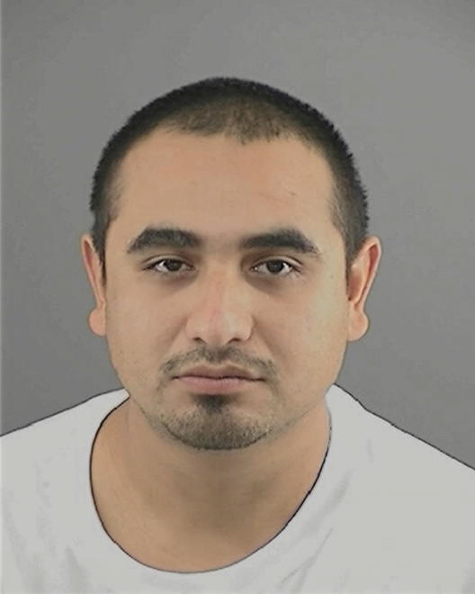 MEJIA, PIEDAD ROGER - Peoria County, IL