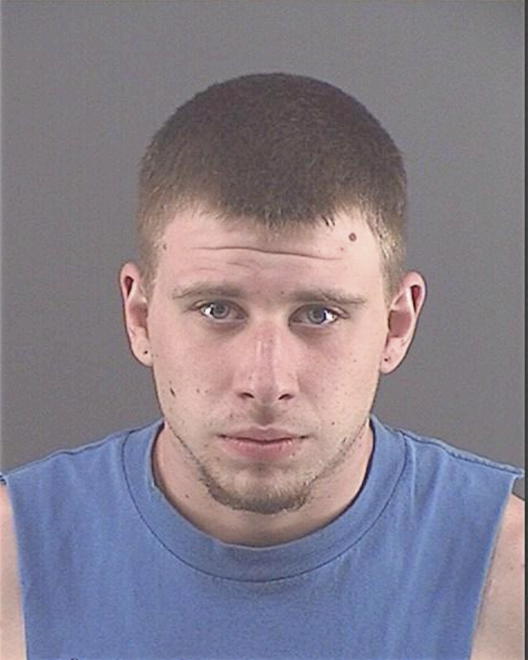 NELSON, DANIEL C - Peoria County, IL