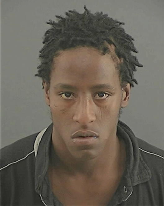 HARRIS, DENNIS TERRELL - Peoria County, IL