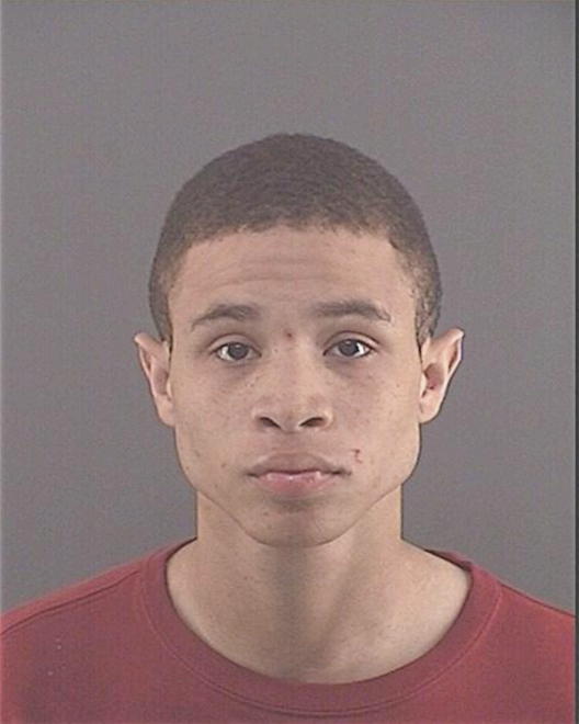 HERNANDEZ, JAVIER R - Peoria County, IL