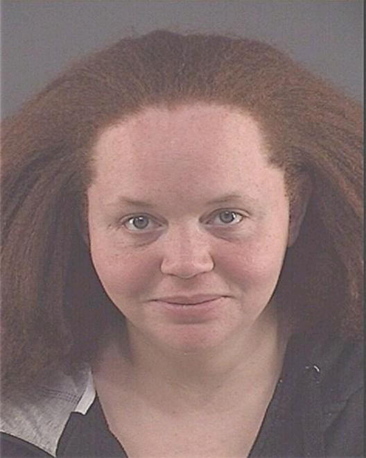 SEEYLE, MICHELLE ANN - Peoria County, IL