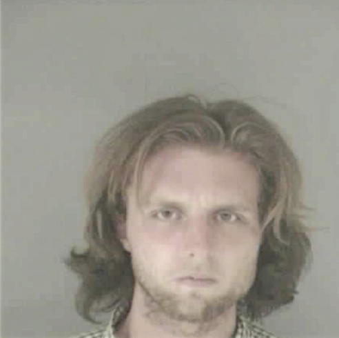 VOILES, BRANDON LEE - Peoria County, IL