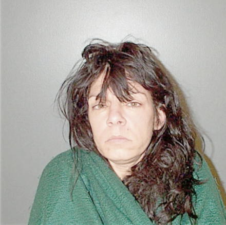 SCHLOSSER, MICHELLE A. - Peoria County, IL