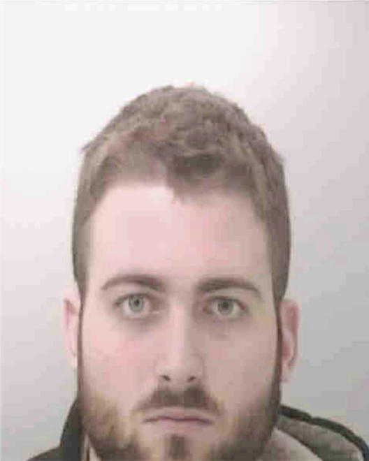 BORGHI, DAVID JOSEPH - Peoria County, IL