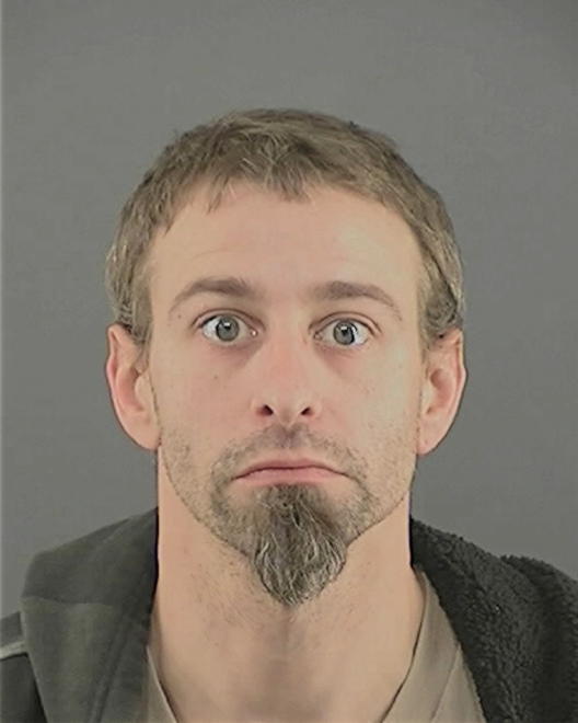 LARSON, TRAVIS STEVEN - Peoria County, IL