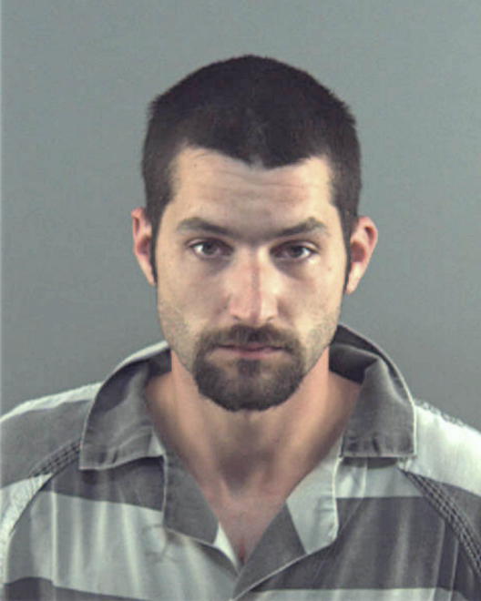 SANDLIN, BRIAN MICHAEL - Peoria County, IL