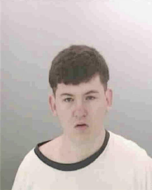 YOUNG, JOSEPH ROBERT - Peoria County, IL