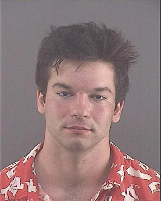BINGHAM, DYLAN T - Peoria County, IL