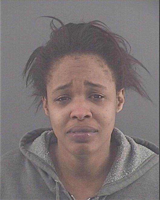 PENA, CAMILLE L - Peoria County, IL