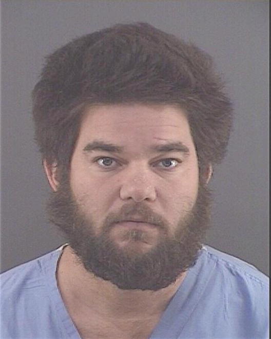 STRAUSS, RONALD L - Peoria County, IL