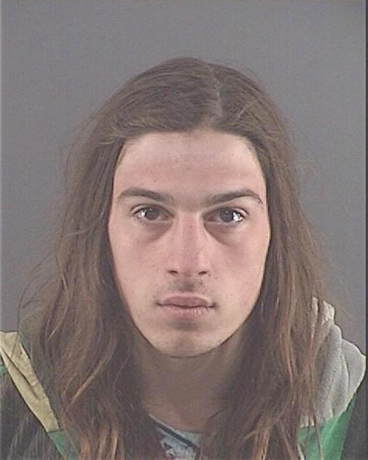 JANKOVIC, DAKOTA D - Peoria County, IL