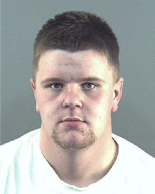 SWARTZ, LEVI BRADLEY - Peoria County, IL