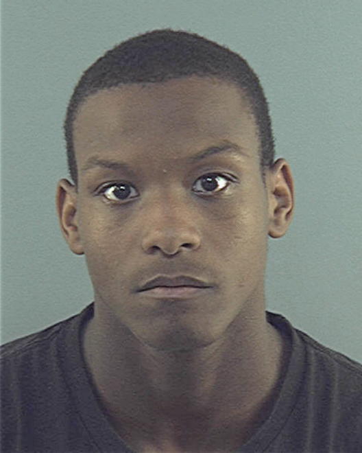 WOMBER, CHIRSTOPHER DARRELL - Peoria County, IL