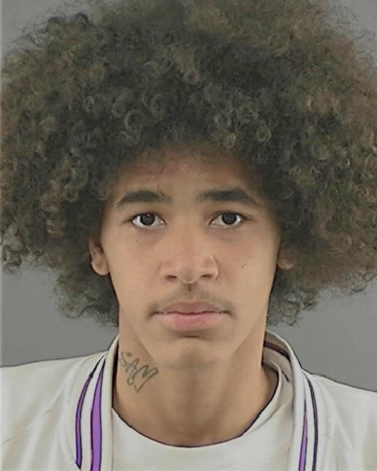 POWELL, SAMUEL MARK - Peoria County, IL