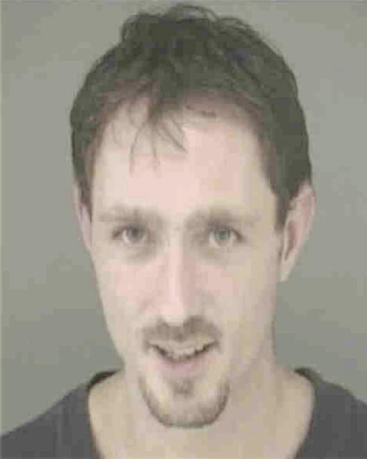PAUL, SHAWN WILLIAM - Peoria County, IL