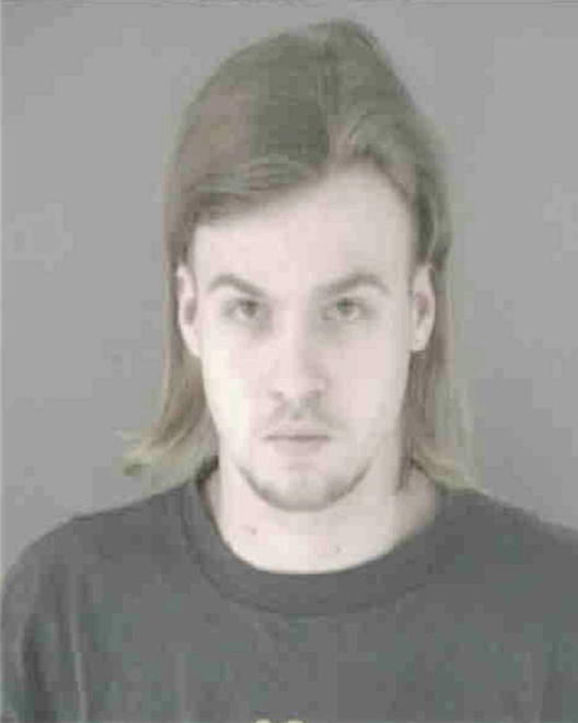 DIPPEL, CODY S - Peoria County, IL