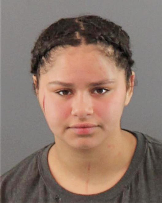 LOWANDE, TORIONNA L - Peoria County, IL