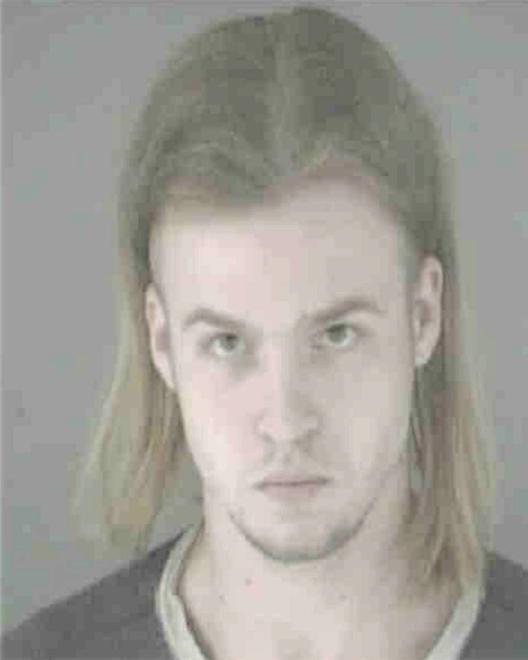 DIPPEL, CODY S - Peoria County, IL