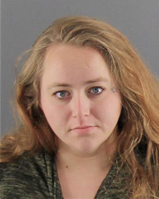 ELLIS, CRYSTINA MARIE - Peoria County, IL