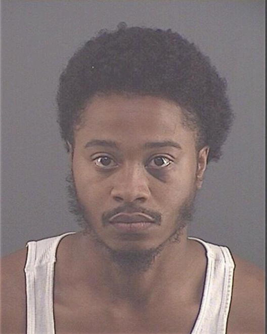 TERRELL, ADRIAN D - Peoria County, IL