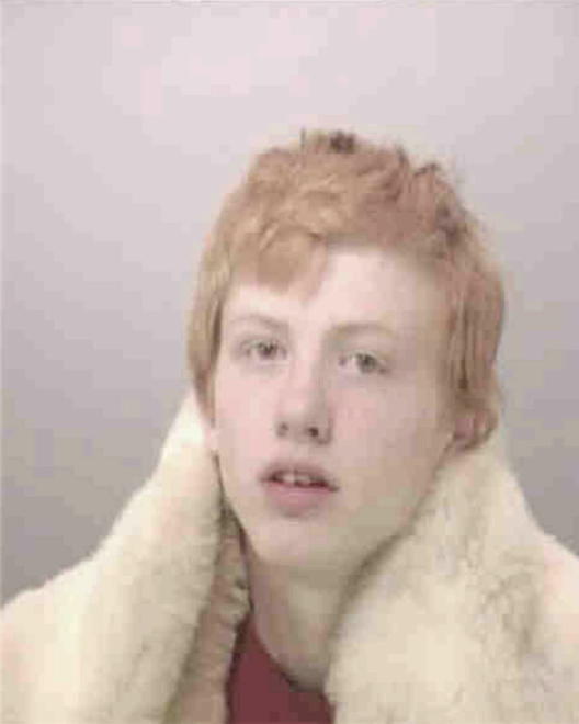 DWORSACK, JAMES WAYNE - Peoria County, IL