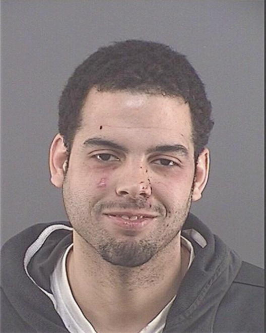 BROWN, CHRISTOPHER MICHAEL - Peoria County, IL