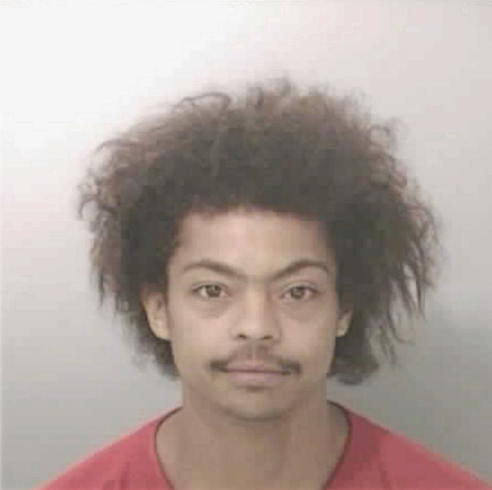 JOHNSON, NATHANIEL PAUL - Peoria County, IL