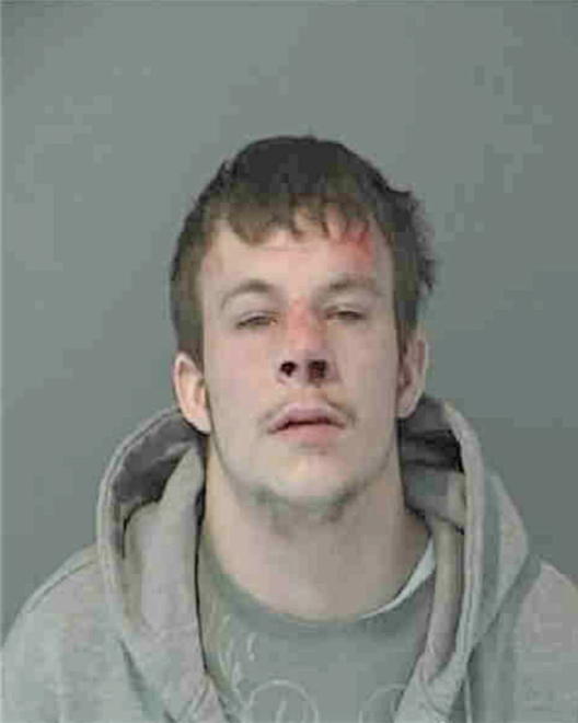 WEGNER, ANDREW S - Peoria County, IL